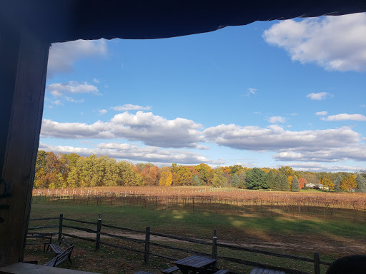 Winery «Flying Otter Winery», reviews and photos, 3402 Chase Rd, Adrian, MI 49221, USA