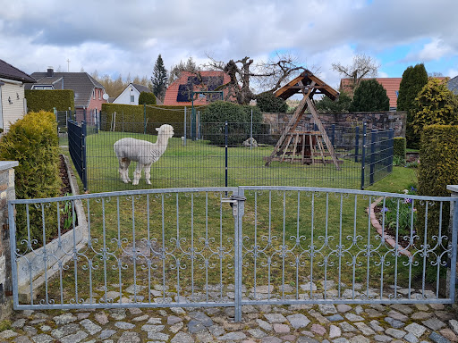 Dagmar Thüring Tierärztin unter Vellahn, 
