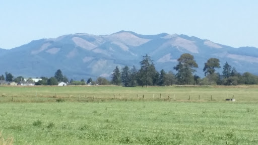 Horse Boarding Stable «Green Acres Beach & Trail Rides», reviews and photos, 5985 Pacific Ave, Cloverdale, OR 97112, USA