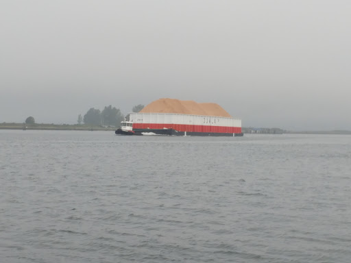 Yacht Club «Everett Yacht Club», reviews and photos, 404 14th St, Everett, WA 98201, USA