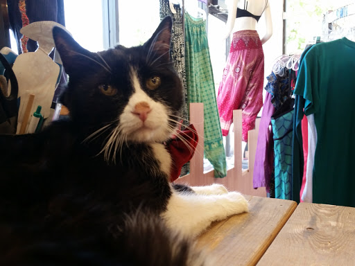 Used Clothing Store «iconoCLAD», reviews and photos, 414 300 S, Salt Lake City, UT 84111, USA