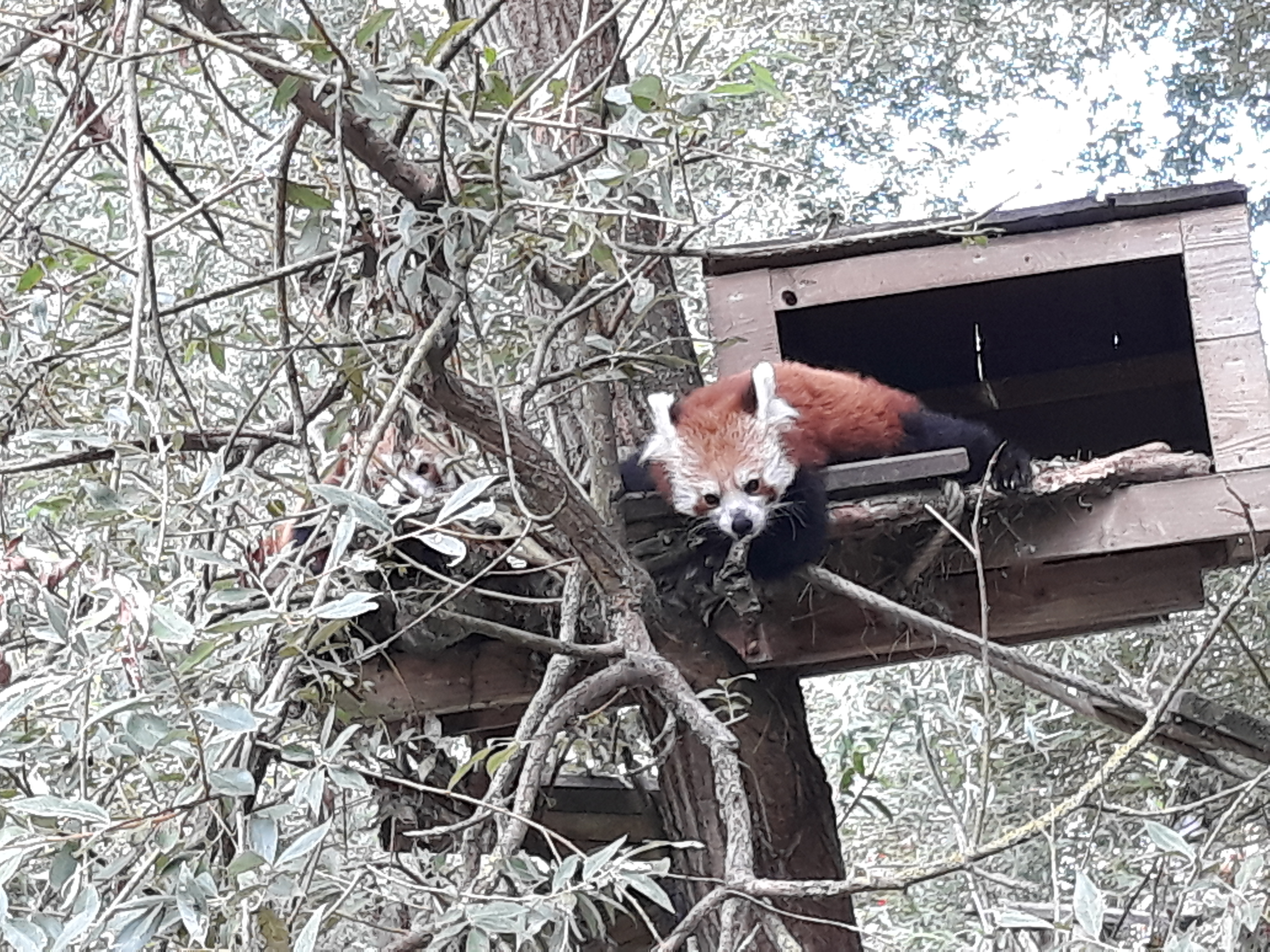Photo n° 36 de l'avis de Estelle.o fait le 09/08/2018 à 10:25