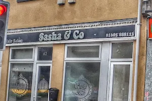 Sasha & Co. image
