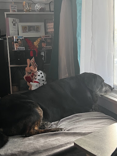 Auto Repair Shop «Ultimate Auto Service», reviews and photos, 2151 Niagara St, Buffalo, NY 14207, USA