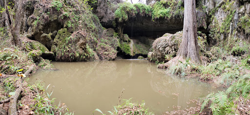 Non-Profit Organization «Westcave Outdoor Discovery Center», reviews and photos, 24814 Hamilton Pool Rd, Round Mountain, TX 78663, USA