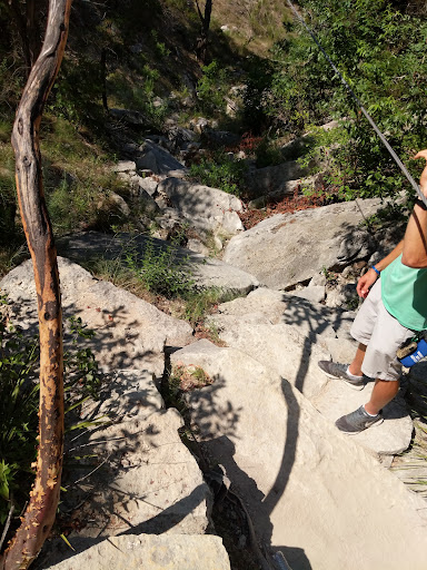 Tourist Attraction «Wimberley Zipline Adventures», reviews and photos, 300 Winn Valley Dr, Wimberley, TX 78676, USA