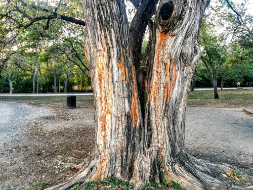 Park «J.A. Carr Park», reviews and photos, 508 Simmons Dr, Euless, TX 76040, USA