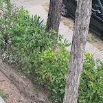 Photo n°4 de l'avis de Martin. fait le 31/07/2021 à 15:48 sur le  Hotel Eden à Lignano Sabbiadoro