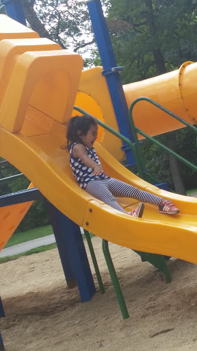 Museum «Elgin Public Museum», reviews and photos, 225 Grand Blvd, Elgin, IL 60120, USA