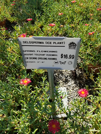 Plant Nursery «Guerin Nursery and Boutique», reviews and photos, 1418 Fall Creek Hwy, Granbury, TX 76049, USA