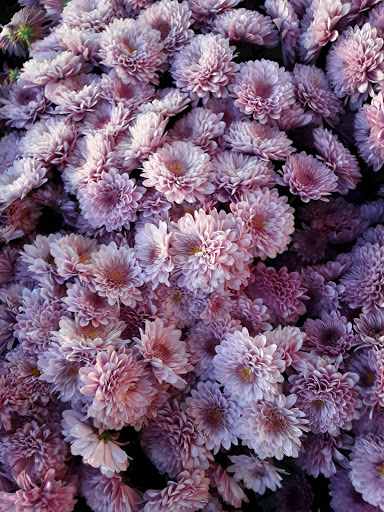 Home Improvement Store «The Home Depot», reviews and photos, 324 N Sunrise Ave, Roseville, CA 95661, USA