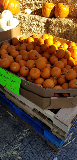 Produce Market «Pedrick Produce», reviews and photos, 6850 Sievers Rd, Dixon, CA 95620, USA