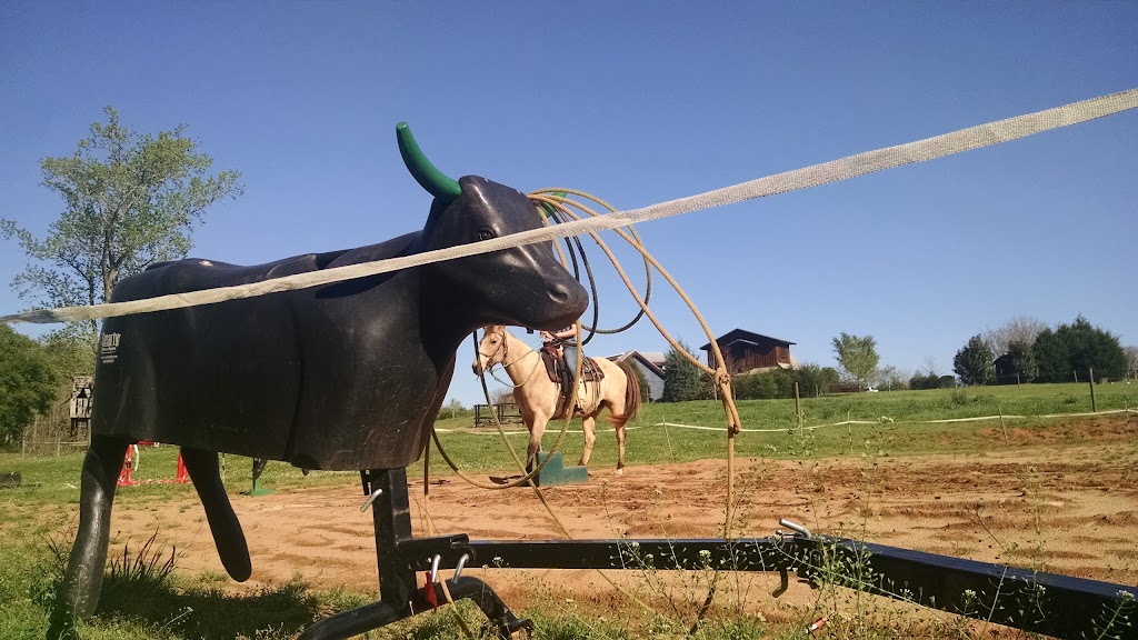 David's Bar B-Q 30619