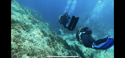 Tizzano Plongée - Club de Plongée Sous-Marine à Sartène