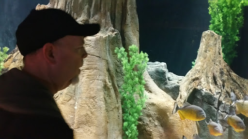 Tourist Attraction «OdySea Mirror Maze», reviews and photos, 9500 East Vía de Ventura #200, Scottsdale, AZ 85256, USA