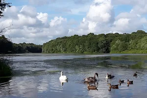 Millers Pond County Park image