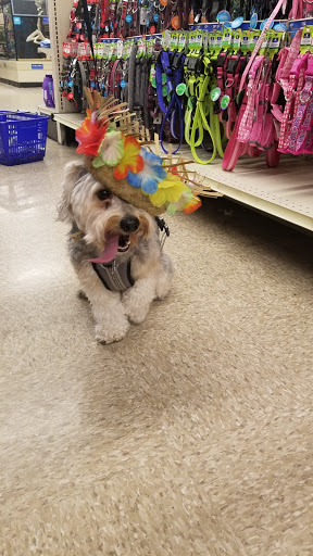 Pet Supply Store «PetSmart», reviews and photos, 1700 Fruitville Pike, Lancaster, PA 17601, USA