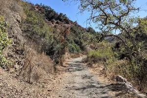 Westridge-Canyonback Wilderness Park image