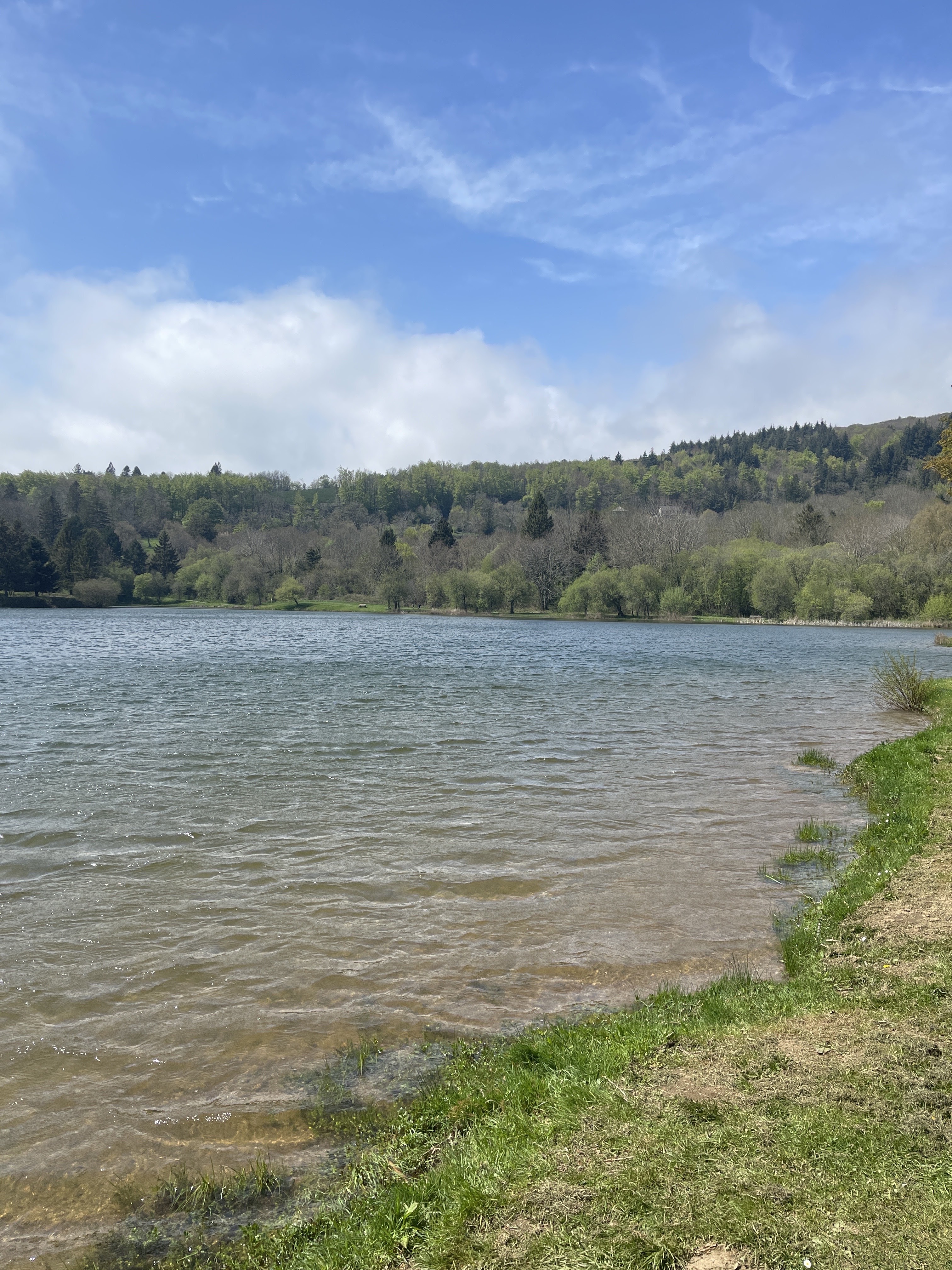 Photo n° 4 de l'avis de Jordy.a fait le 29/04/2022 à 13:33