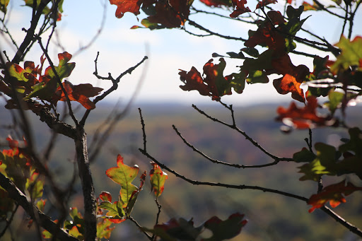 State Park «West Rock Ridge State Park», reviews and photos, 1134 Wintergreen Ave, New Haven, CT 06514, USA