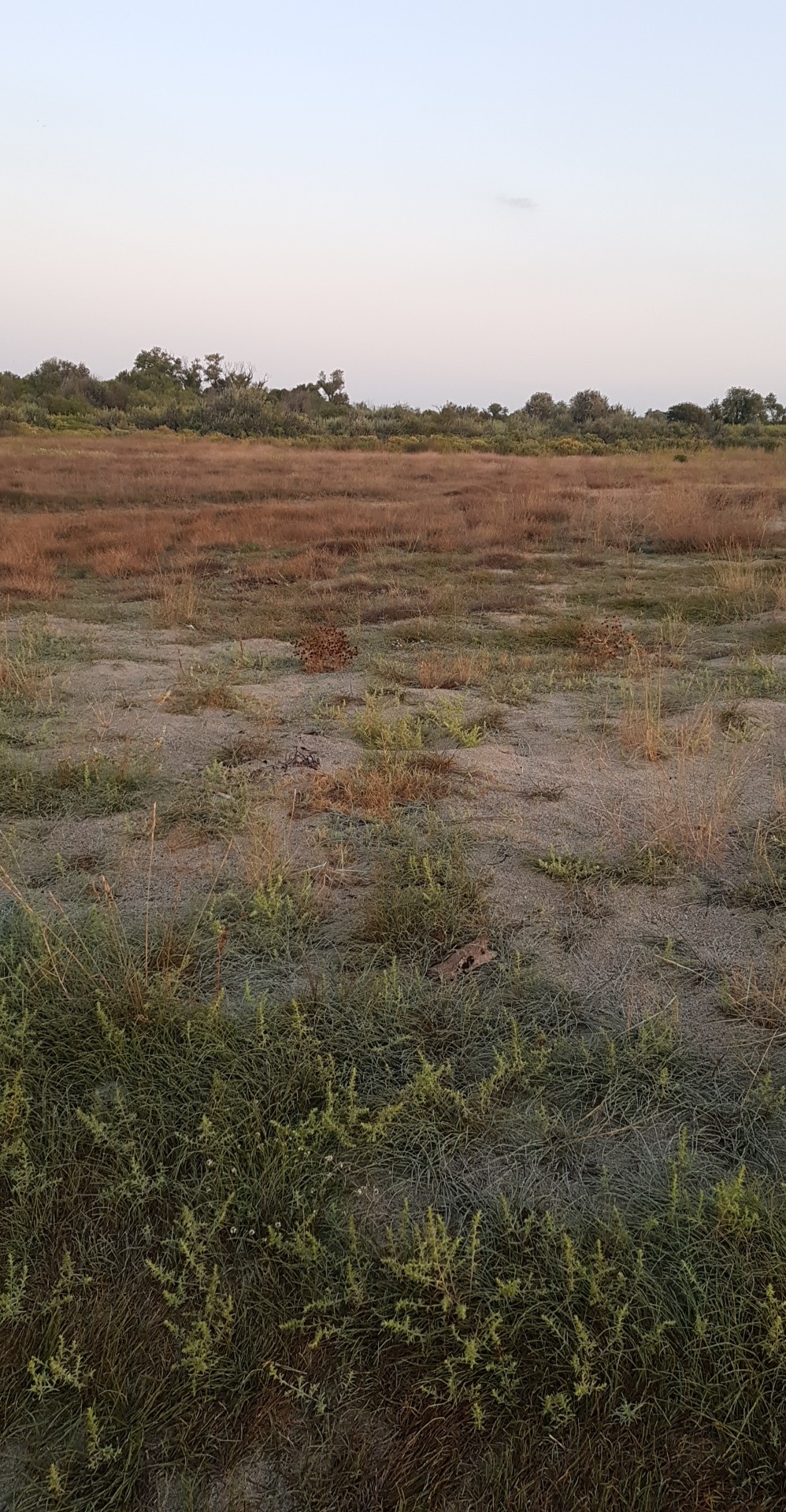 Photo n° 19 de l'avis de Jean-Luc.o fait le 24/09/2019 à 10:09