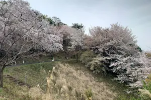 Katsuyama Park image