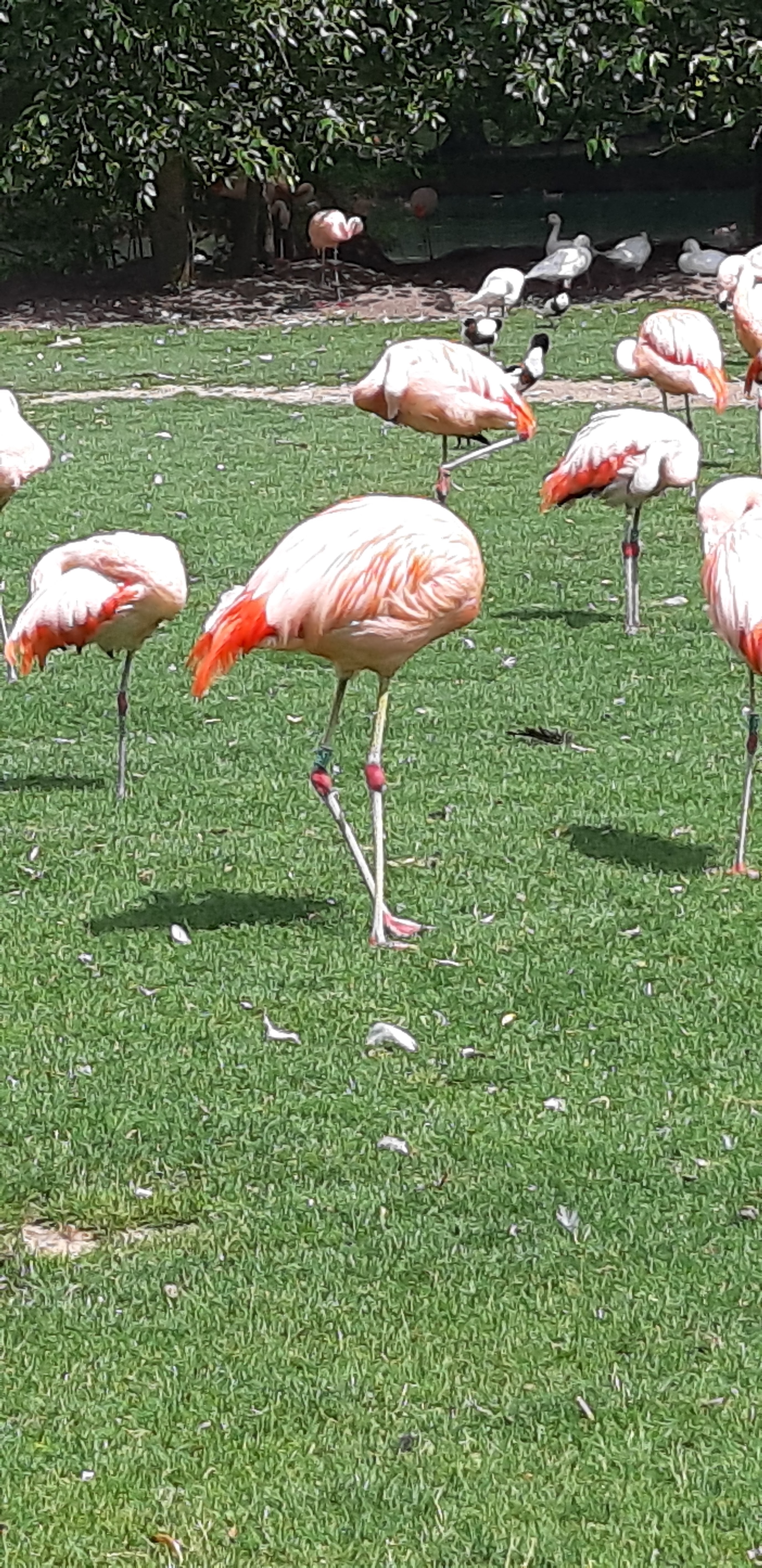 Photo n° 4 de l'avis de Jean.u fait le 30/06/2023 à 14:12