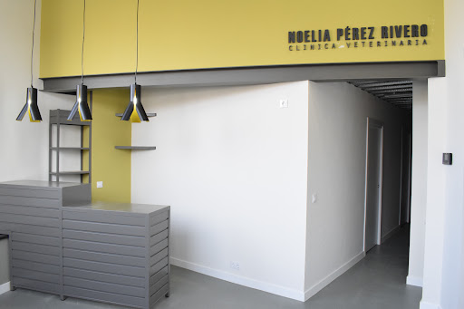 Clínica Veterinaria Noelia Pérez Rivero en Ciudad Rodrigo