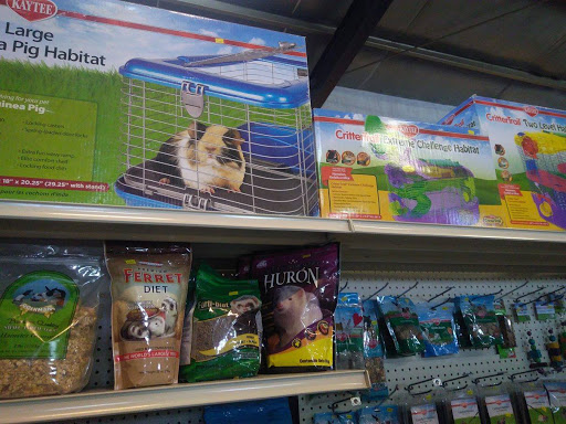 Tienda animales exoticos Tijuana