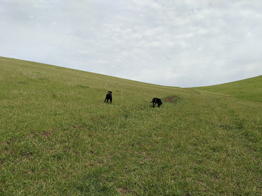 Golf Course «Delta View Golf Course», reviews and photos, 2232 Golf Club Rd, Pittsburg, CA 94565, USA