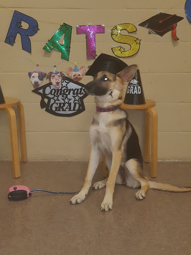 Pet Supply Store «PetSmart», reviews and photos, 849 E 23rd St, Panama City, FL 32405, USA