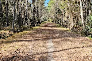 Nocatee Preserve image