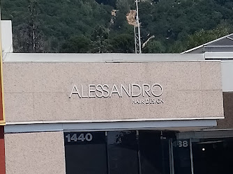 Alessandro Salon