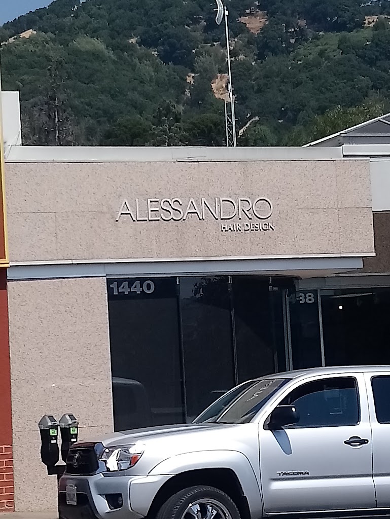 Alessandro Salon 94901