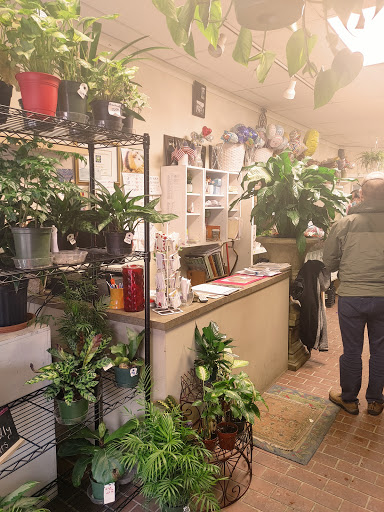 Florist «Blossom Shop», reviews and photos, 138 Orange St, New Haven, CT 06510, USA