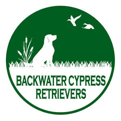 Backwater Cypress Retrievers
