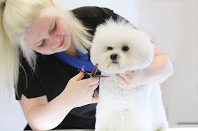 Dogs Delight Grooming Salon, Chiswick, West London