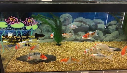 Pet Supply Store «Petco Animal Supplies», reviews and photos, 7 E Desilvio Dr, Nashua, NH 03060, USA