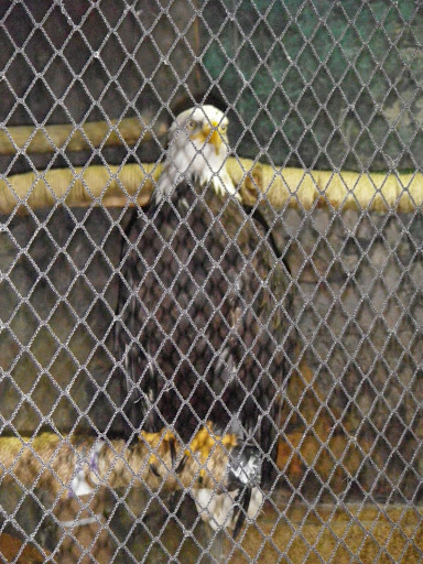 Aquarium «Great Lakes Aquarium», reviews and photos, 353 Harbor Dr, Duluth, MN 55802, USA