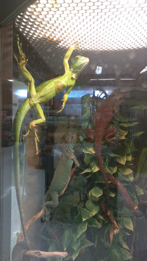 Pet Supply Store «Petco Animal Supplies», reviews and photos, 2140 E Blvd St, Kokomo, IN 46902, USA