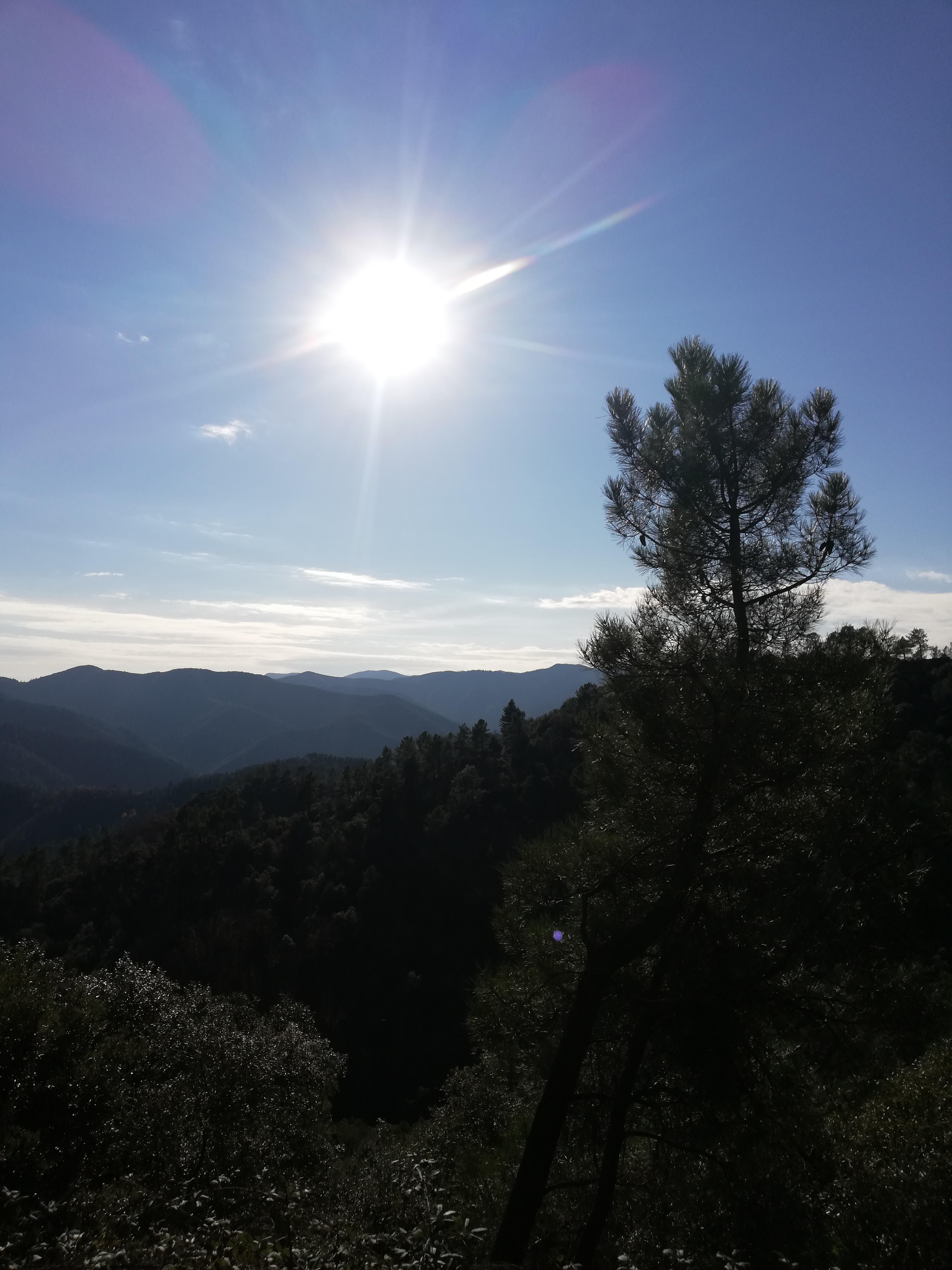 Photo n° 2 de l'avis de Tiphaine. fait le 30/11/2018 à 21:52