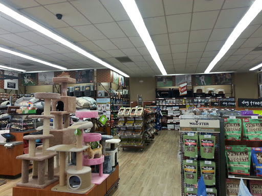 Pet Supply Store «Pet Food Express», reviews and photos, 3385 Castro Valley Blvd, Castro Valley, CA 94546, USA