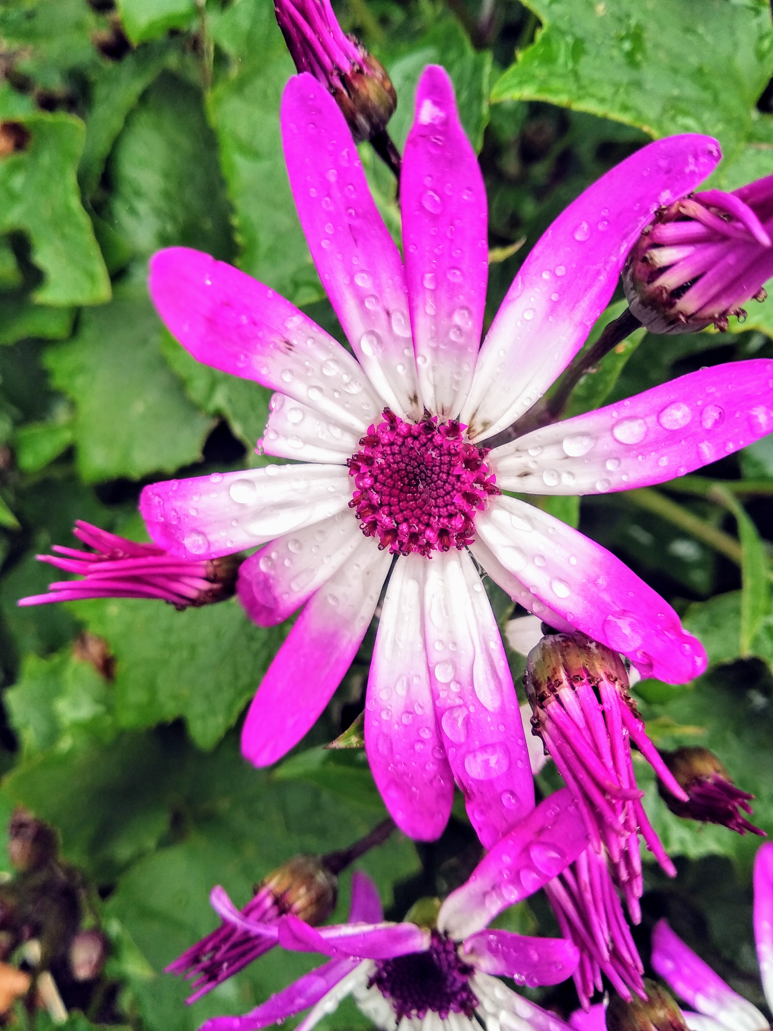 Photo n° 2 de l'avis de Thybaut.h fait le 01/03/2019 à 11:19