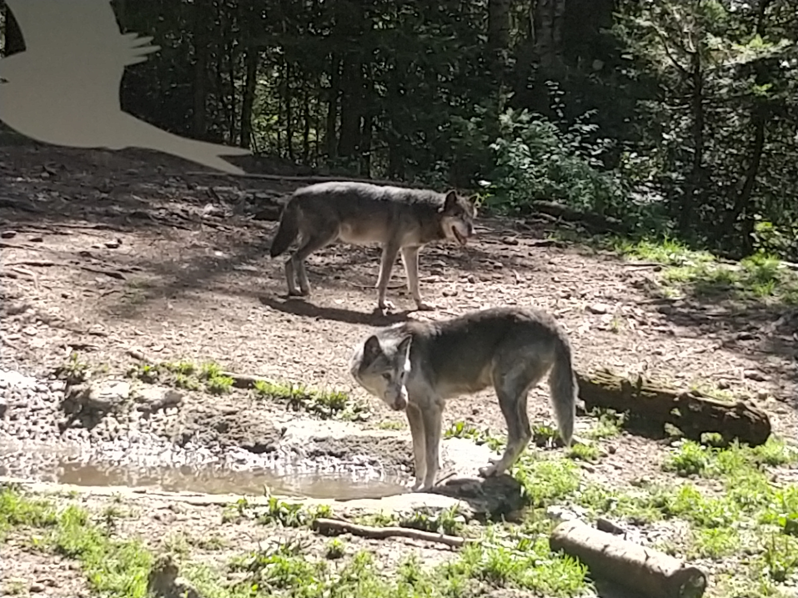 Photo n° 5 de l'avis de Hiss.o fait le 14/08/2020 à 16:29