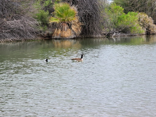 Park «Evelyn Hallman Park», reviews and photos, 1900 N College Ave, Tempe, AZ 85281, USA