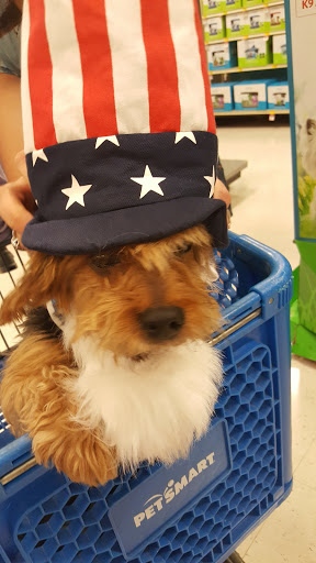 Pet Supply Store «PetSmart», reviews and photos, 198 Promenade Blvd, Flowood, MS 39232, USA