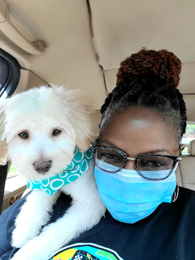 Pet Groomer «Splash and Dash Groomerie & Boutique», reviews and photos, 224 Peachtree East Shopping Center, Peachtree City, GA 30269, USA