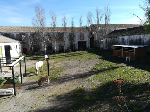 Pabellon de usos multiples en Cijuela, Granada