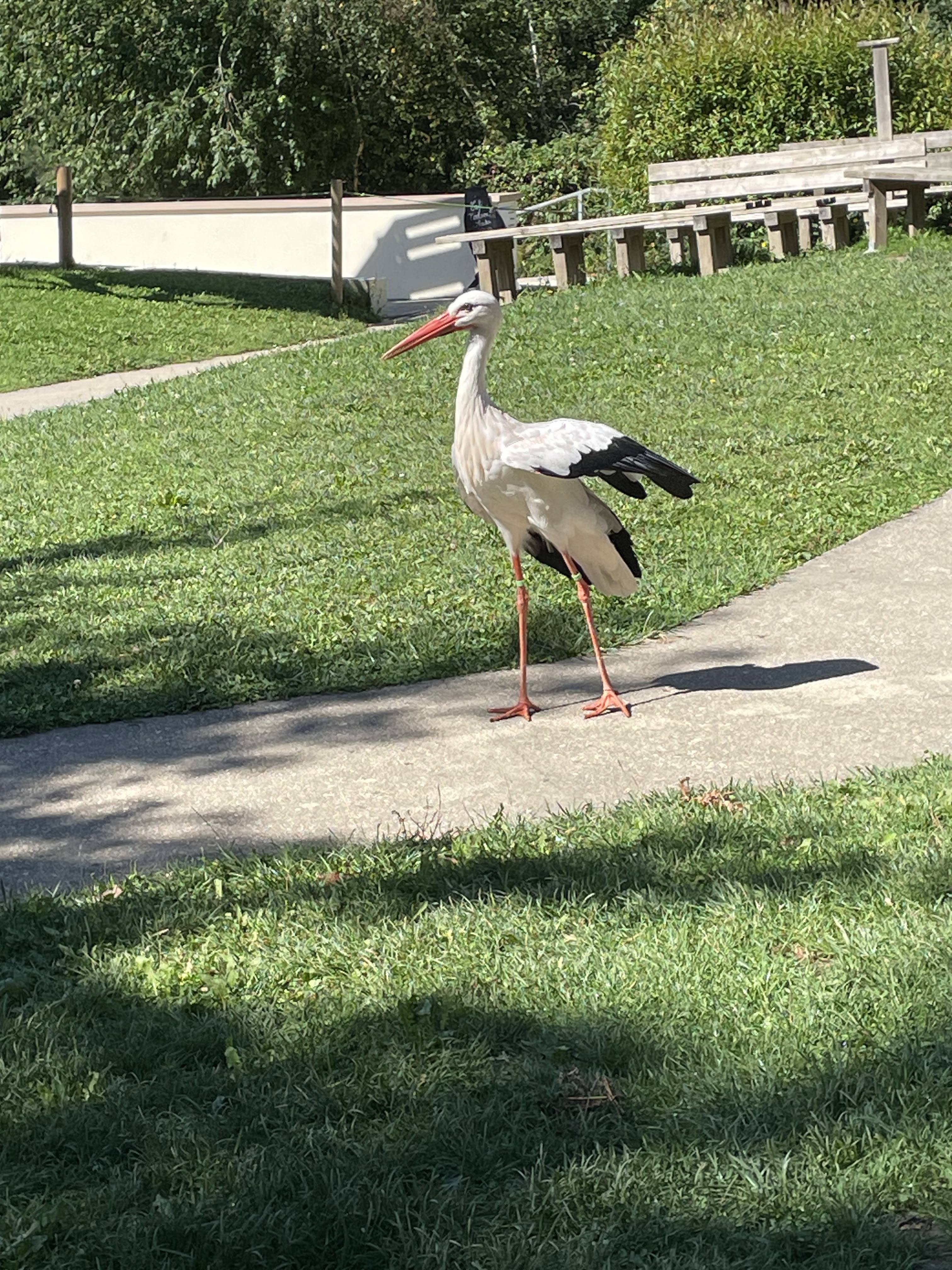 Photo n° 19 de l'avis de catherine.h fait le 22/08/2023 à 10:19