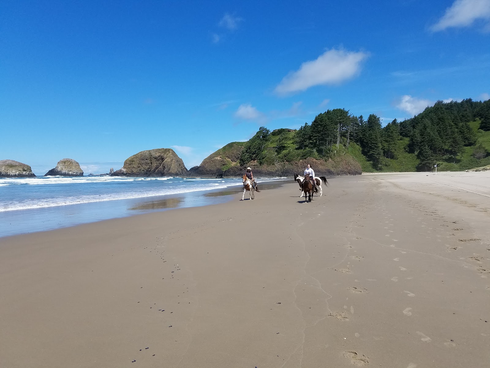 Foto van Crescent Beach - populaire plek onder ontspanningskenners